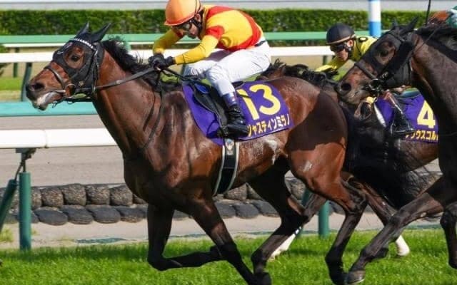 皐月賞馬ジャスティンミラノ 史上8頭目の無敗二冠へ視界良好