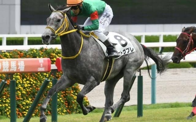 【葵S予想オッズ】エトヴプレが予想1番人気