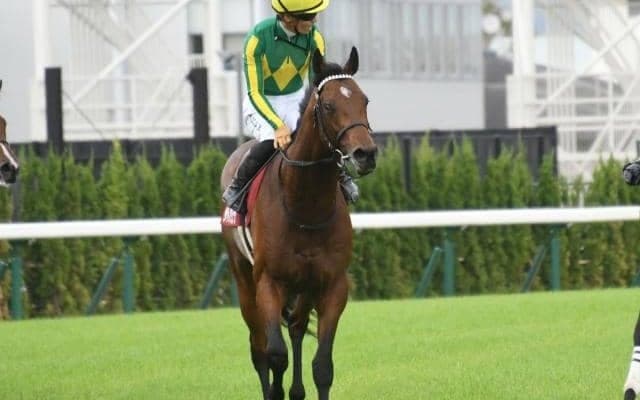 【目黒記念予想オッズ】サトノグランツが予想1番人気