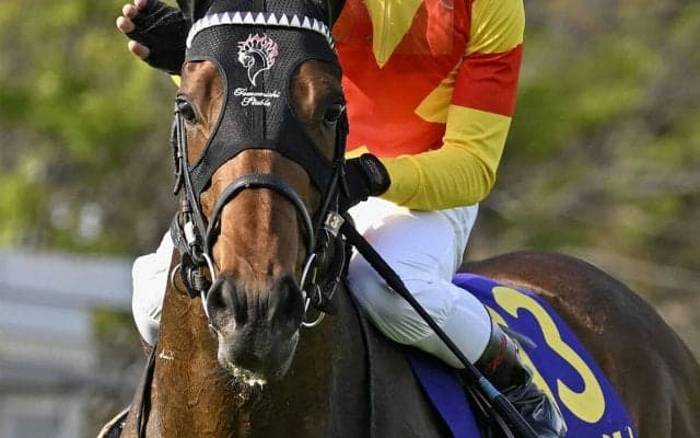 「３歳牡馬ランキング」ダービーで有力視される世代最強馬のすごさとは？