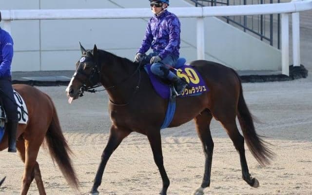 ソウルラッシュ、安田記念1週前追い切り速報/栗東トレセンニュース