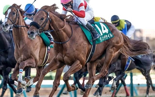 父は11年前の日本ダービー2着 息子2頭が“キズナ産駒撃破”で戴冠なるか