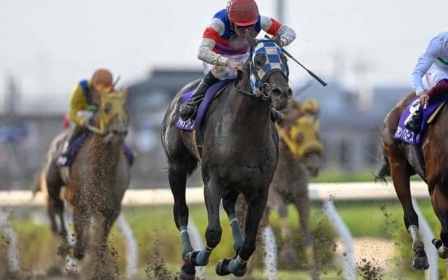 【浦和・プラチナC結果】アマネラクーンが差し切って重賞初制覇！