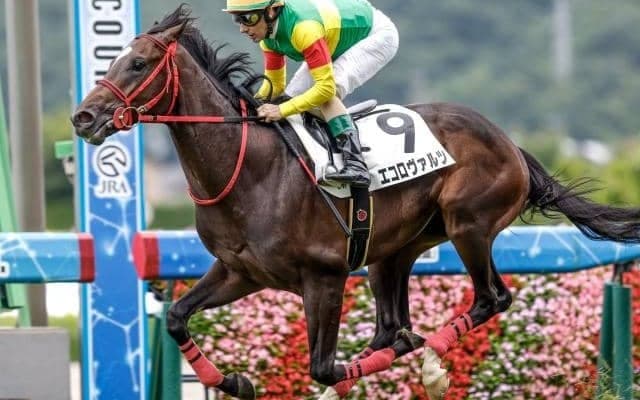 【日本ダービー○○なら史上初】エコロヴァルツが勝てば快挙 福島デビュー＆勝ち上がり馬のダービー戴冠