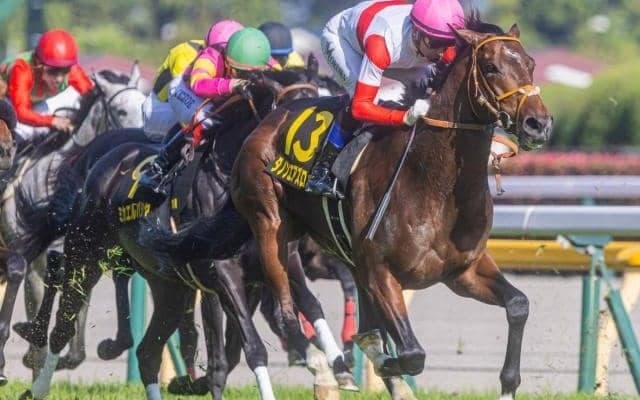 ダービー行き最終切符から史上初の戴冠へ 4億5000万円馬が世代の頂点狙う