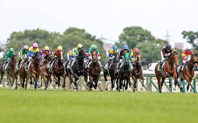 日本ダービー当日の各地のテレビ・ラジオ中継