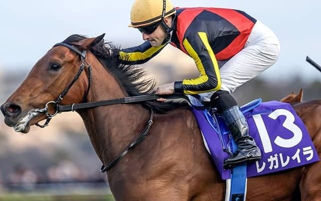 【日本ダービー・調教後馬体重】レガレイラは464kg、ジャスティンミラノは514kg