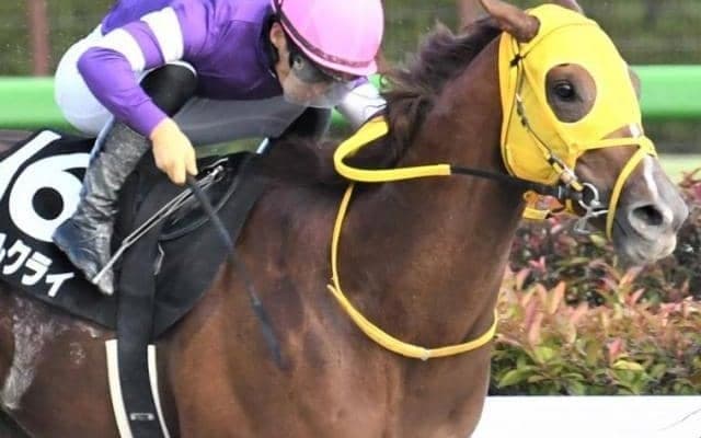 昨年の欅S覇者が1年ぶりの復帰戦 59kg克服なるか