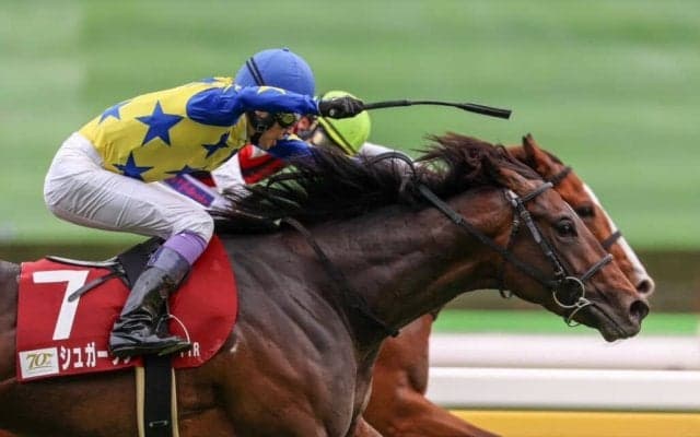 【武豊日記】我々ホースマンにとっての夢のレース