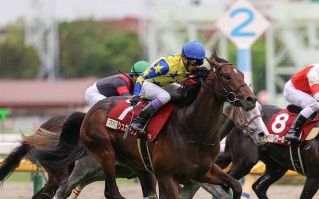 武豊騎手 今週の騎乗馬…ダービーの相棒はシュガークン