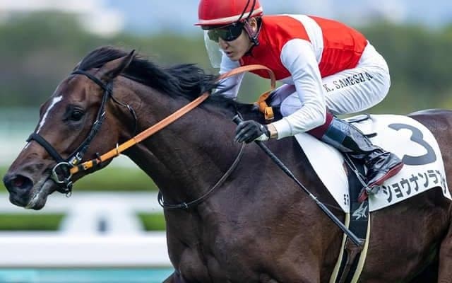 高額馬×若手騎手のタッグが日本ダービー参戦 二人三脚で世代の頂点狙う