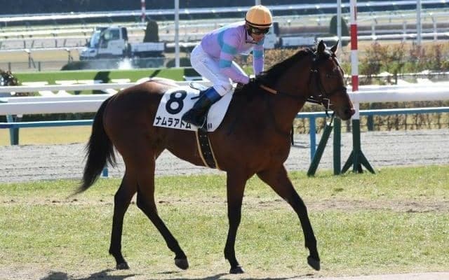【葵S枠順確定】ナムラアトムは1枠1番、エトヴプレは5枠10番