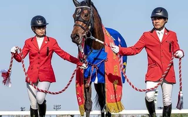 【日本ダービー】“辰年”の日本ダービーに共通するまさかのデータ なんと勝率は100％!?