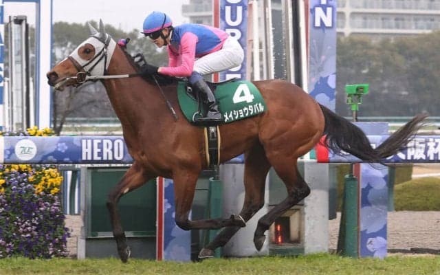 【日本ダービー】メイショウタバルが出走取消