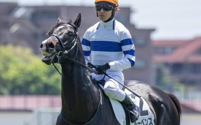 名牝メジロドーベルの孫 一族ゆかりの東京芝2400mで初勝利狙う