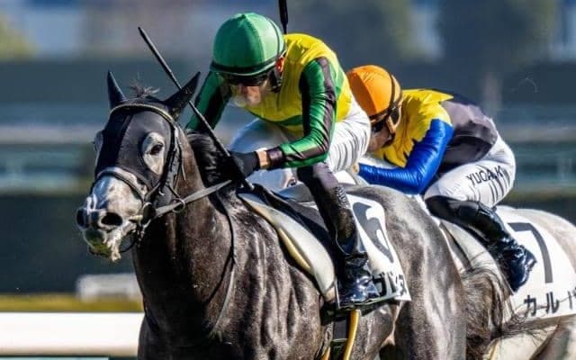 圧倒的内枠有利の京都芝1200m メインは絶好3番枠に注目を