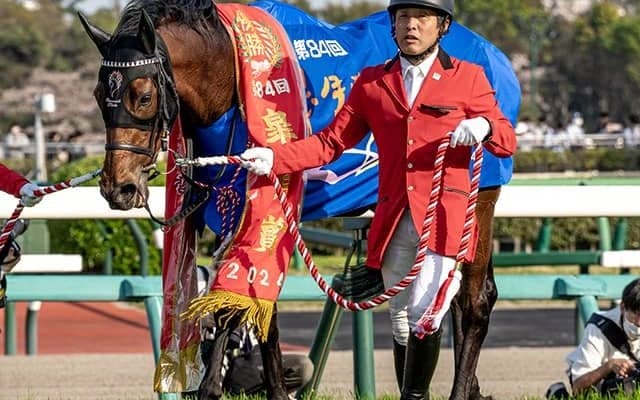 【日本ダービー】17頭の香港馬名・馬名意味を紹介！「駿天潮城」「野田巨石」「旭日和國」はどの馬？