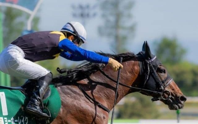 【鳴尾記念想定馬・騎手】ヨーホーレイク、ニホンピロキーフなど14頭