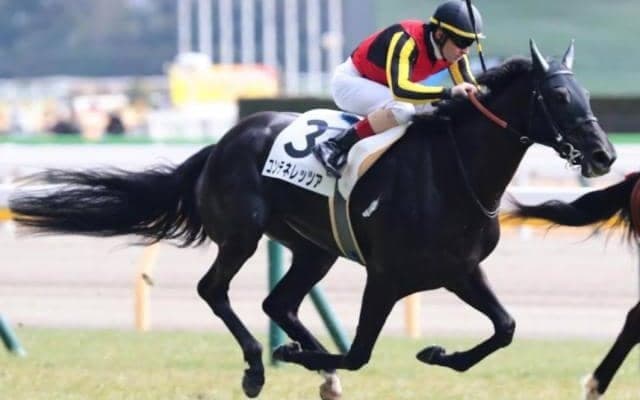 一族にエアグルーヴなどGI馬ズラリの良血馬 “マジックマン”の手綱で初勝利なるか