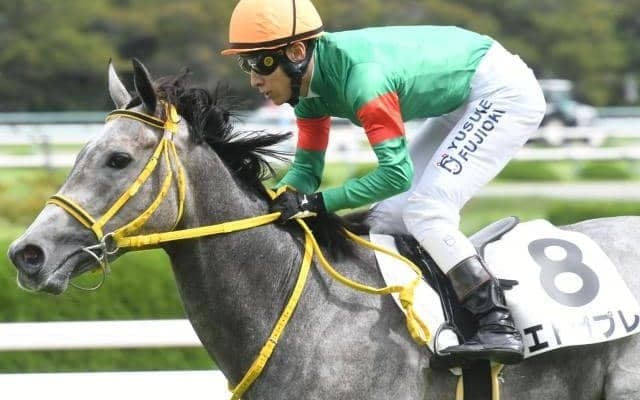 【今日の注目ポイント】京都で3歳馬によるスプリント重賞・葵S