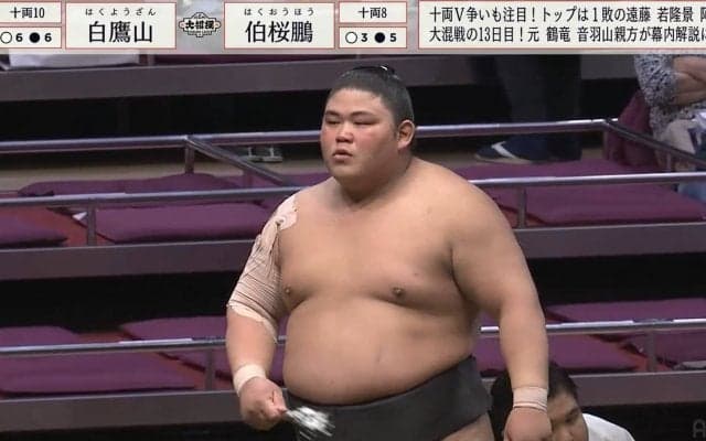 「か、かわいい」「ピ、ピンク？」伯桜鵬の化粧まわしに反響 “令和の怪物”の意外な姿にファン驚き