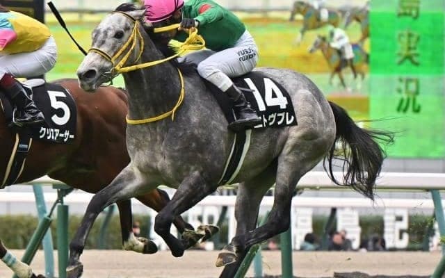 【葵S予想】未来のスプリンターが集う3歳短距離重賞 直線平坦で逃げ、先行馬が有利な舞台