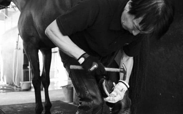 【装蹄師・西内荘コラム】来年のダービー馬を探しに…