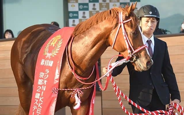 【日本ダービー】“夏季五輪開催年”の日本ダービーは名馬誕生の予感… 過去には無敗三冠馬など