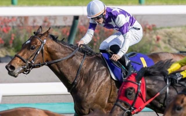 日本ダービーに挑む“二刀流” 勝利すれば35年ぶりの記録かかる一戦に