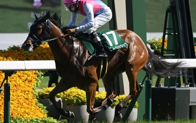 【葵S結果】8番人気ピューロマジックが逃げ切り重賞初制覇