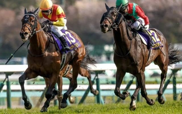 【日本ダービー前日オッズ】皐月賞馬ジャスティンミラノが2.4倍で1番人気