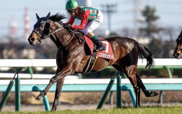 【AI予想・日本ダービー】競馬の祭典は過度な穴狙いは禁物!? 人工知能の本命は近走の充実ぶりが光る実力馬