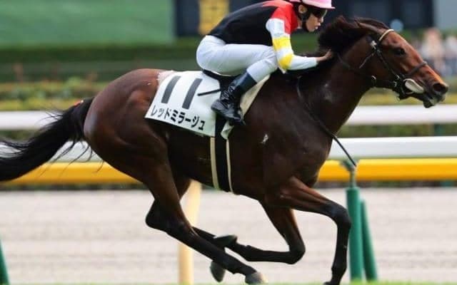 母はGI馬ラキシス レッドミラージュが東京芝2400mで巻き返しなるか