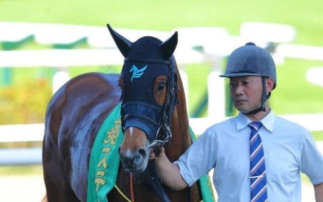 【葵S】横山和「気持ちを尊重した」ピューロマジックが逃げ切りV