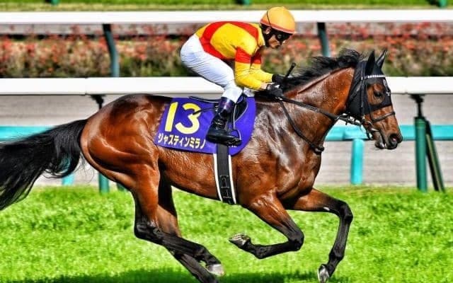 【今日の注目ポイント】東京で競馬の祭典・日本ダービーと目黒記念