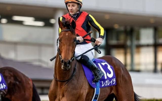 日本ダービーが行われる東京芝はコンディション絶好 内でタメて切れる馬が狙いに