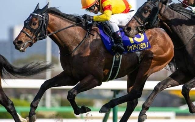 【日本ダービー・馬体重】ジャスティンミラノは512kg(±0)、レガレイラは458kg(+2)