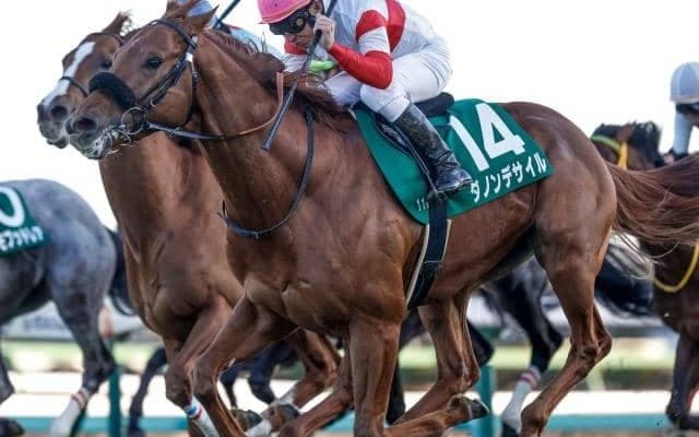 【日本ダービー】ダノンデサイルが皐月賞競走除外の無念晴らすV！ 横山典弘騎手は56歳でのダービー最年長制覇！