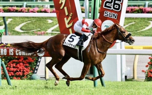 【日本ダービー】ダノンデサイルが突き抜ける！横山典弘騎手最年長ダービー制覇