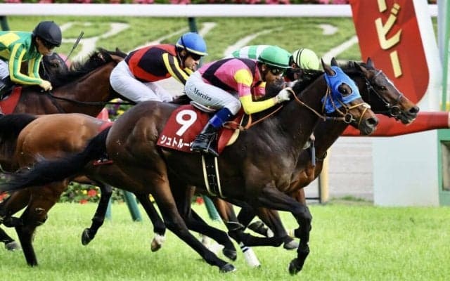 【目黒記念】モレイラ騎乗、シュトルーヴェが重賞連勝