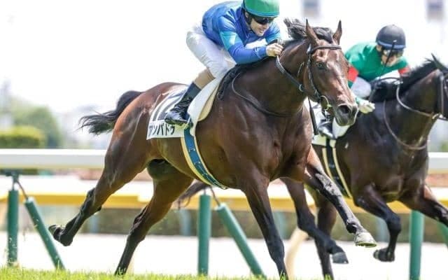 C.ルメール騎手が騎乗機会11戦連続連対のJRA記録達成