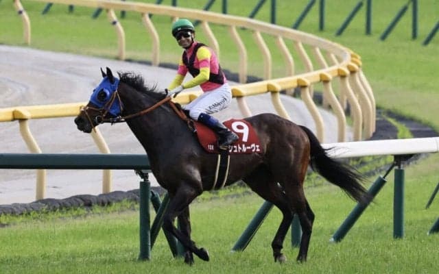 【目黒記念】モレイラ「とても良い馬」シュトルーヴェ重賞連勝