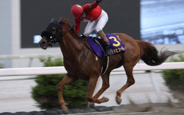 【高知・福永洋一記念】グッドヒューマーが4馬身差完勝…永森「歳を感じさせない馬」