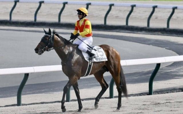 【日本ダービー】戸崎「人気に応えられず申し訳ない」レース後ジョッキーコメント