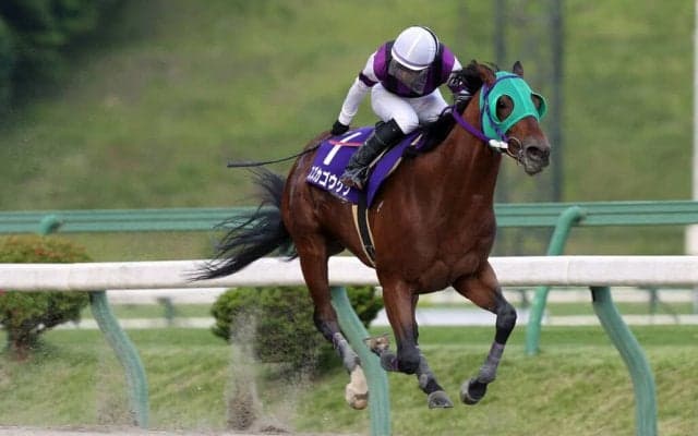【盛岡・あすなろ賞】スズカゴウケツが3馬身差完勝…菅原辰「手応えが抜群」