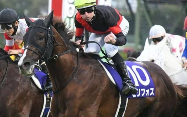 【安田記念見どころ】実績最上位のセリフォスが2つ目のGI奪取へ