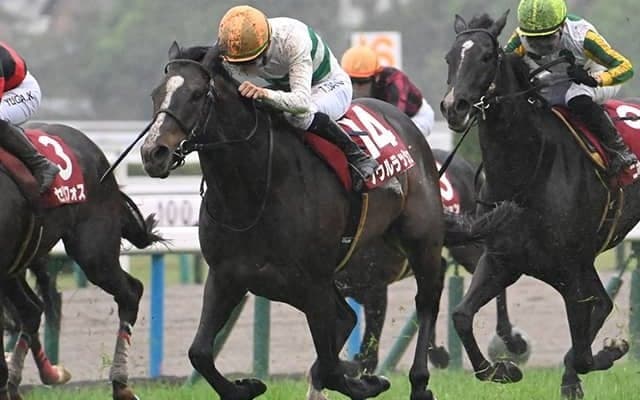【安田記念想定騎手】ソウルラッシュはJ.モレイラ騎手、ロマンチックウォリアーはJ.マクドナルド騎手