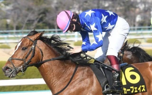 【鳴尾記念展望】宝塚記念の前哨戦、前走GI組に妙味あり