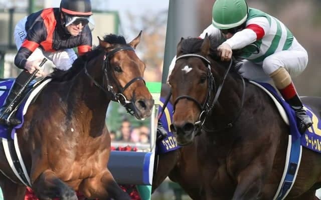 あなたが今年期待している新種牡馬は？ サートゥルナーリアやルヴァンスレーヴに多くの声
