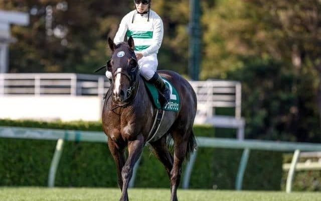 【安田記念予想オッズ】ソウルラッシュが予想1番人気